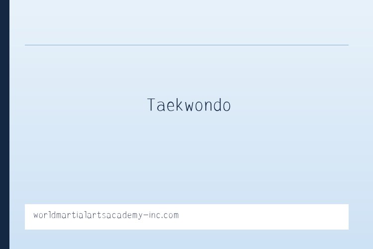 SUMMER CAMP | WMAA Taekwondo 列表图