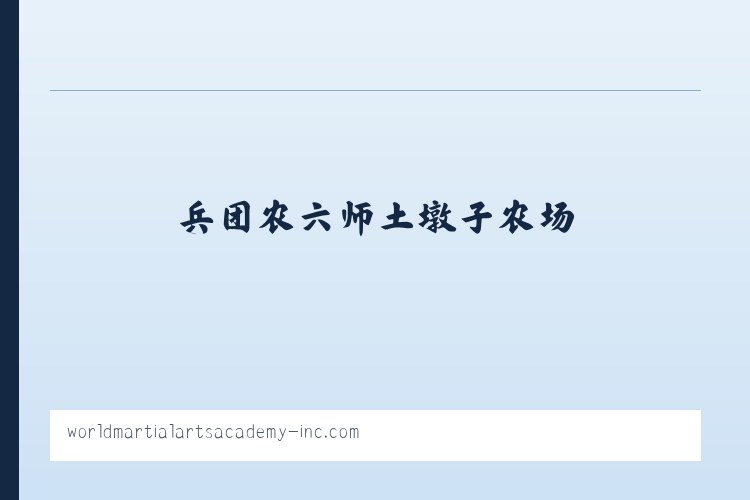 九峰山生态管理委员会 - SUMMER CAMP | WMAA Taekwondo 列表图