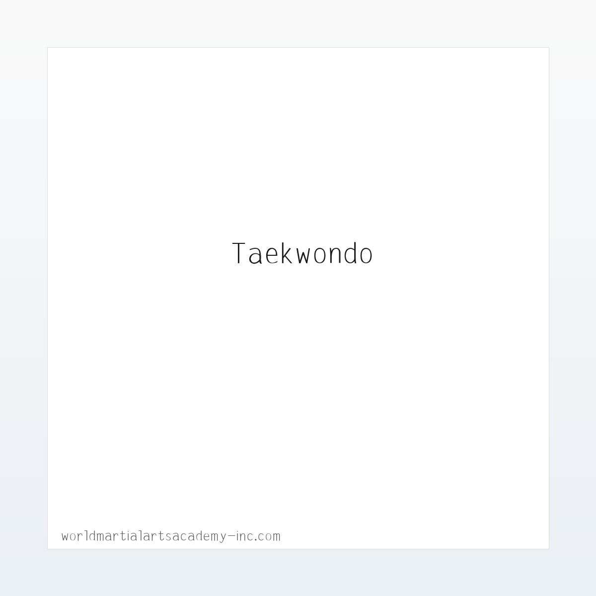 专题内容 - SUMMER CAMP | WMAA Taekwondo 方图